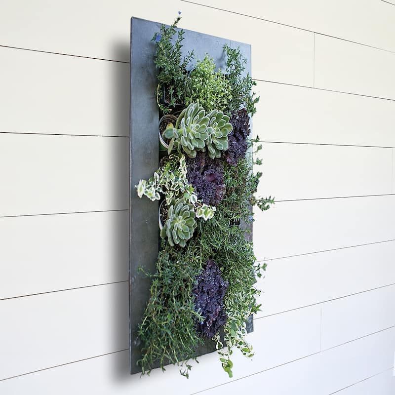 Carson Carrington Tasback Galvanized Steel/ Zinc Succulent Planter
