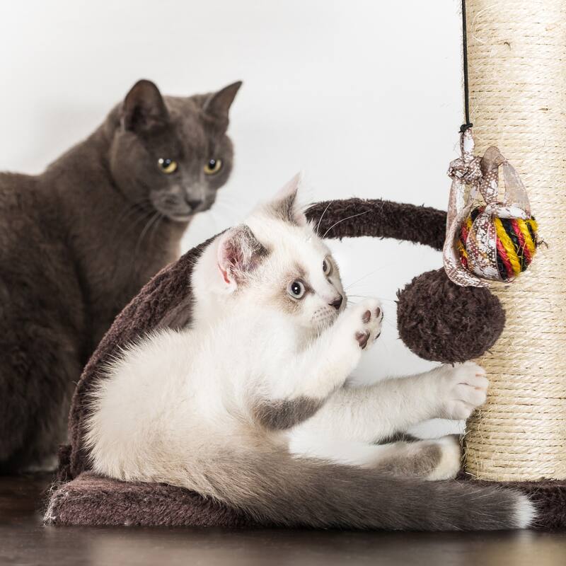 Petmaker Beige 6-Tier Carpeted Cat & Kitten Tower
