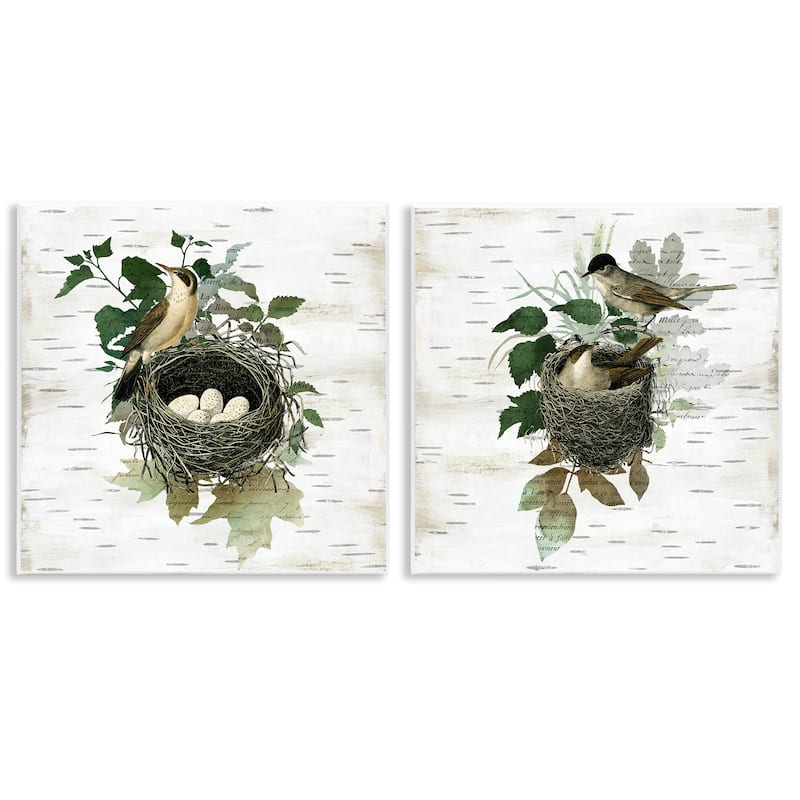 Stupell Rustic Vintage Bird Nests Wall Plaque Art Design By Susan Arnot (Set of 2) - 12 x 12