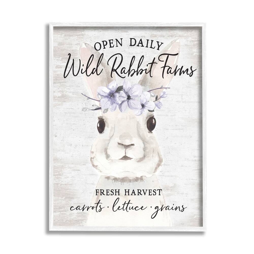 Stupell Wild Rabbit Farms Weathered Floral Crown Sign Framed Wall Art - White
