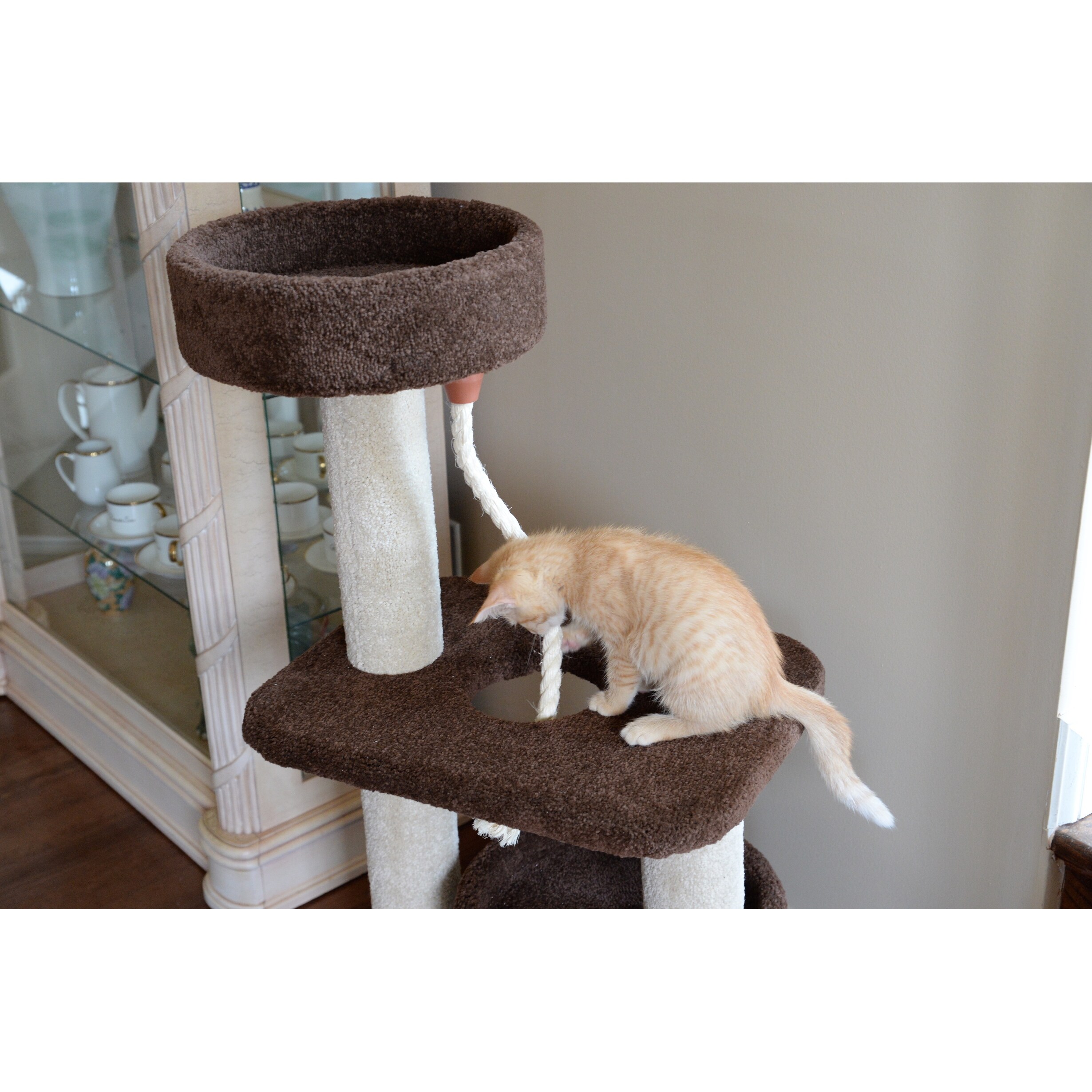 Petpals fawn level 5 scratcher 2025