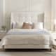Option Ivory