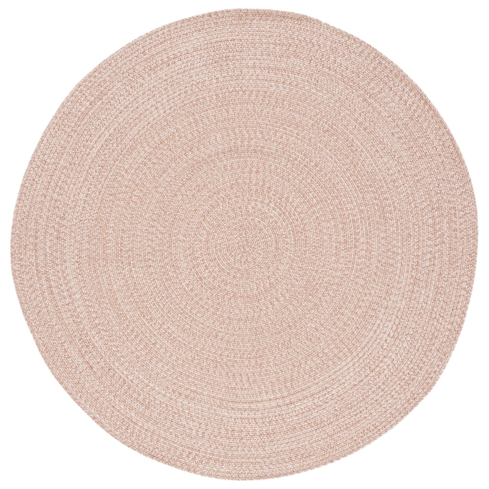 SAFAVIEH Handmade Braided Anthi Casual Rug