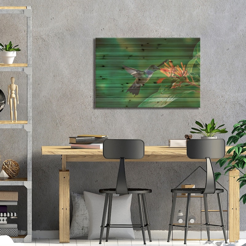 Blue-Chested Hummingbird Male Feeding At And Pollinating Flowers, Costa Rica Print On Wood by Michael & Patricia Fogden