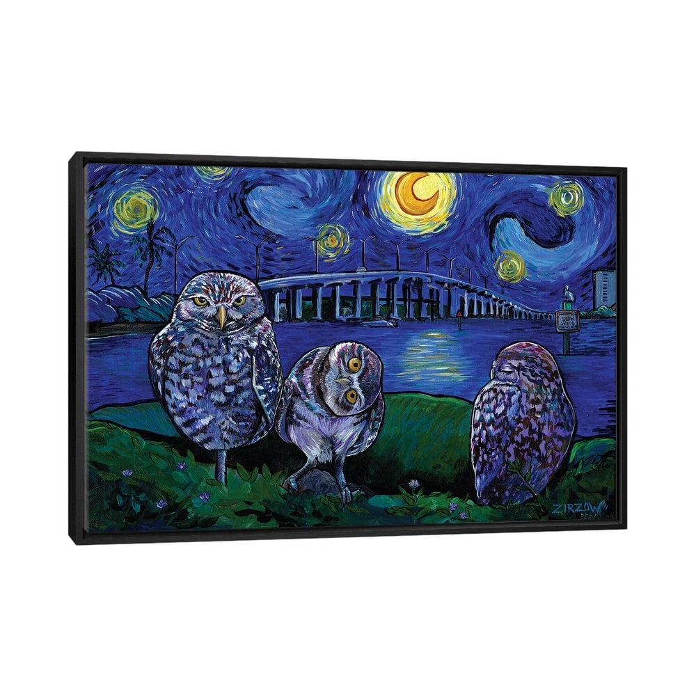 iCanvas "Burrowing Owls In The Starry Night" by Amanda Zirzow Framed
