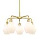 Option Satin Gold / Cased Matte White