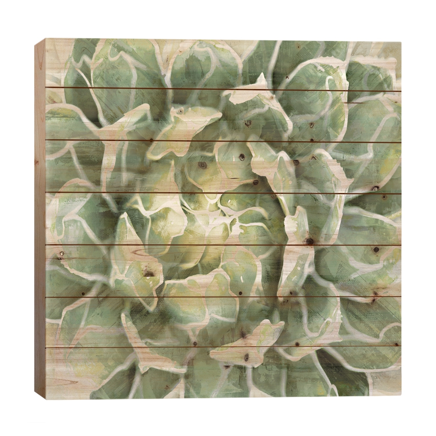 Succulent VII Print On Wood by Lindsay Benson - Multi-Color