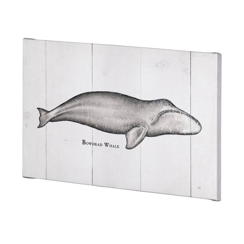 Bowhead Whale (50 x 30) Canvas Art Print