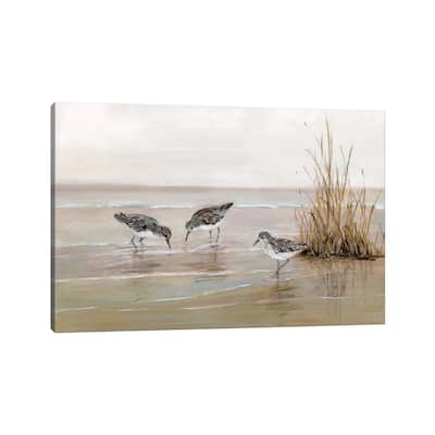 iCanvas "Early Risers II" by Sally Swatland Canvas Print