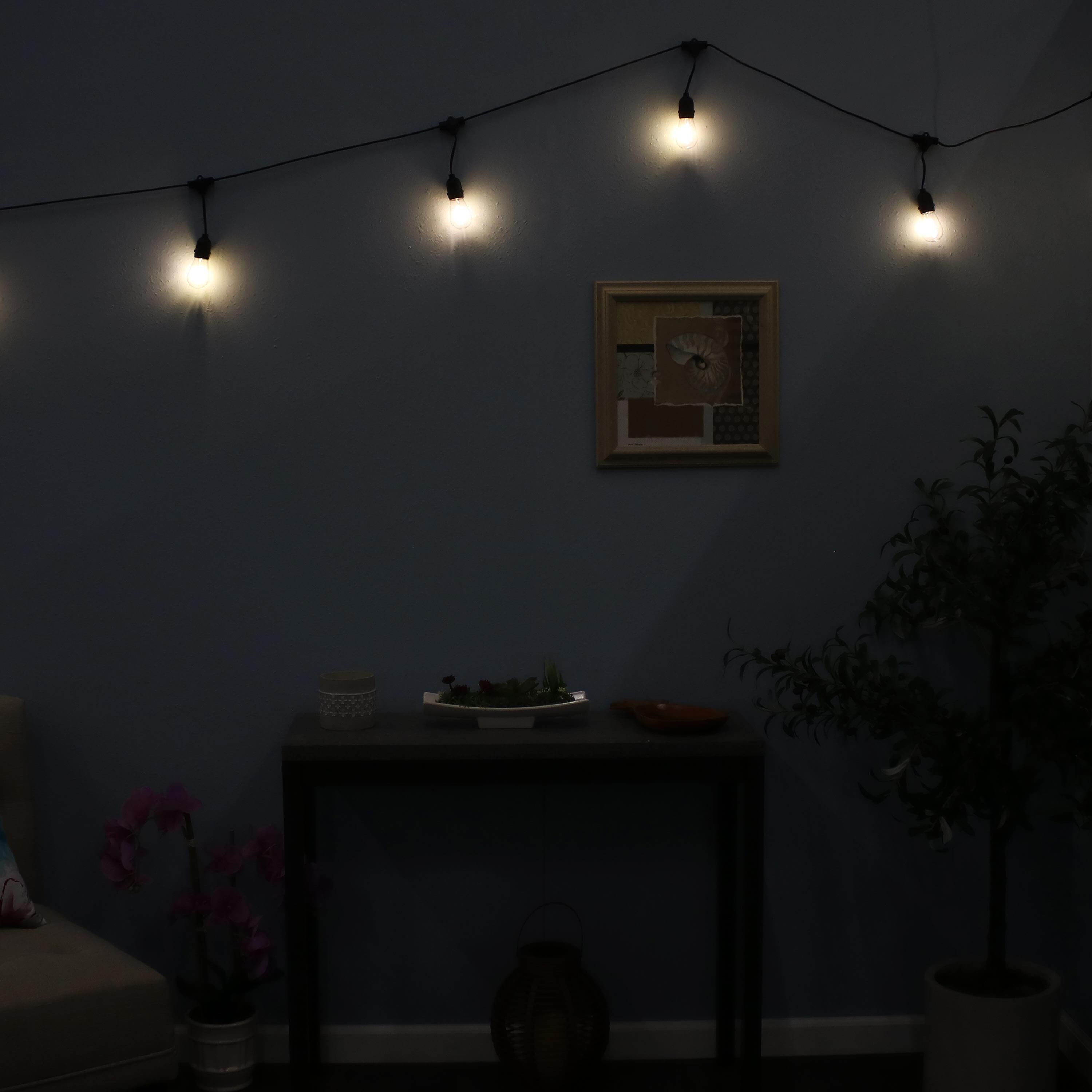 Shop Sunnydaze Indoor Outdoor Led String Lights Edison Bulbs 23