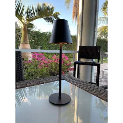 LED Cordless USB Rechargeable Indoor/Outdoor Patio/Table Lamp