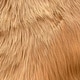 preview thumbnail 21 of 37, Ovella Home Premium Faux Sheepskin Shag Square Area Rug Camel - 1'6" x 1'6" Square