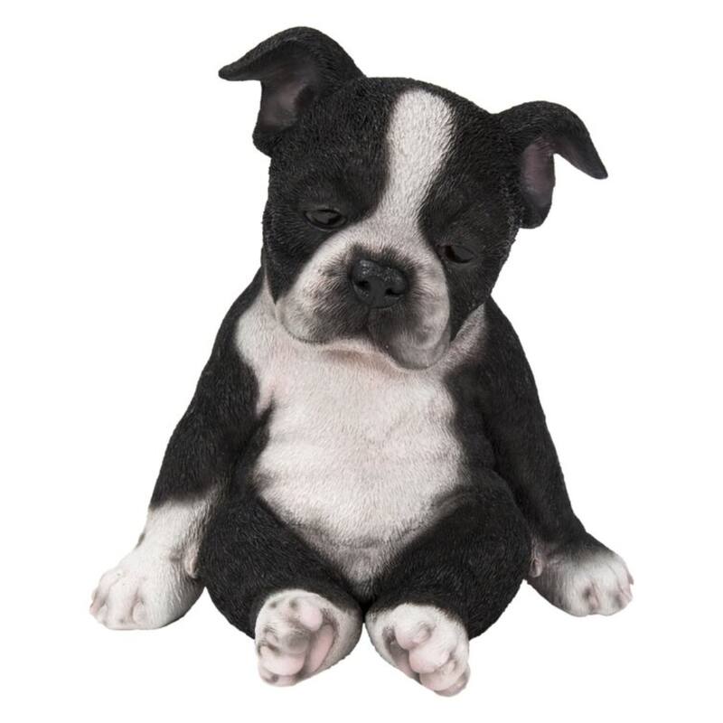 7.25" Sleepy Boston Terrier Puppy Outdoor Garden Statue