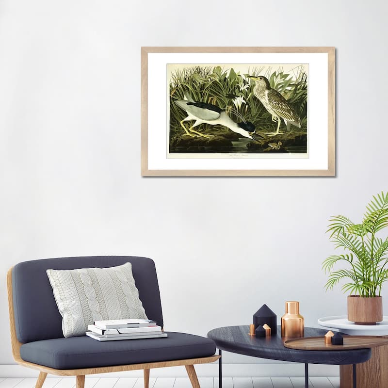 iCanvas "Night Heron or Lua Bird, 1835 " by John James Audubon