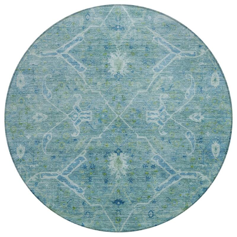 Machine Washable Indoor/ Outdoor Vintage Traditional Chantille Rug