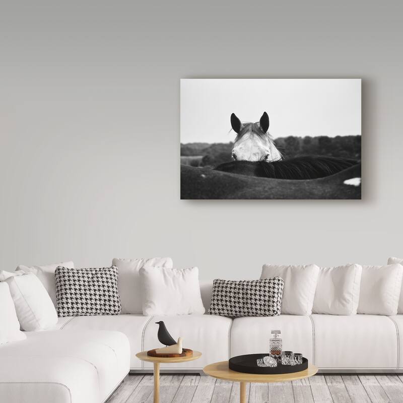 Aledanda 'Flirt White Horse' Canvas Art