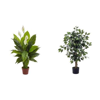 42" Spathiphyllum Silk Plant and 3' Ficus Silk Tree