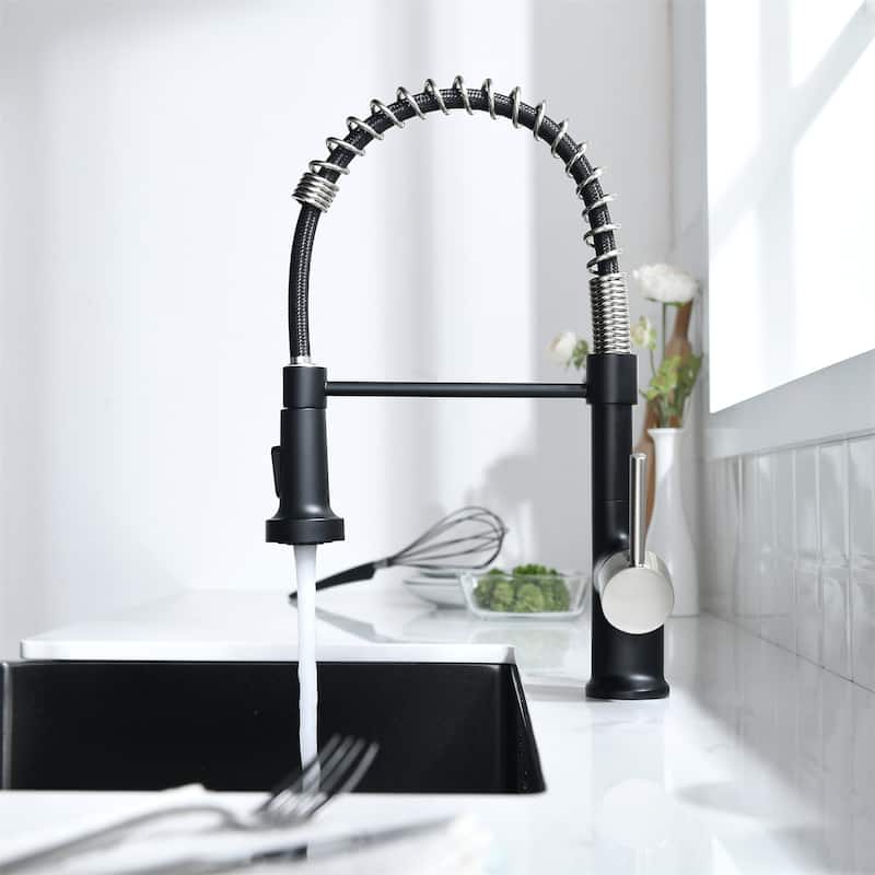 Single Handle Single Lever Kitchen Faucet with Pull Down Sprayer