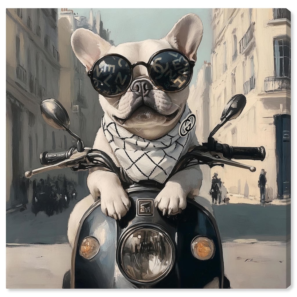 Frenchie on a Scooter Drive Canvas by Art Remedy, Gallery Wrapped