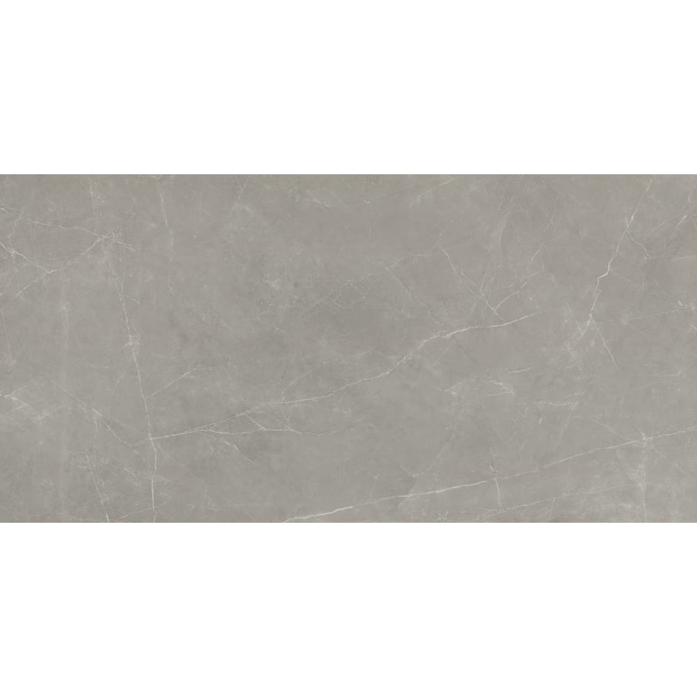 Emser Tile F20STER2447M Sterlina II - 24" x 47" Rectangle Floor and