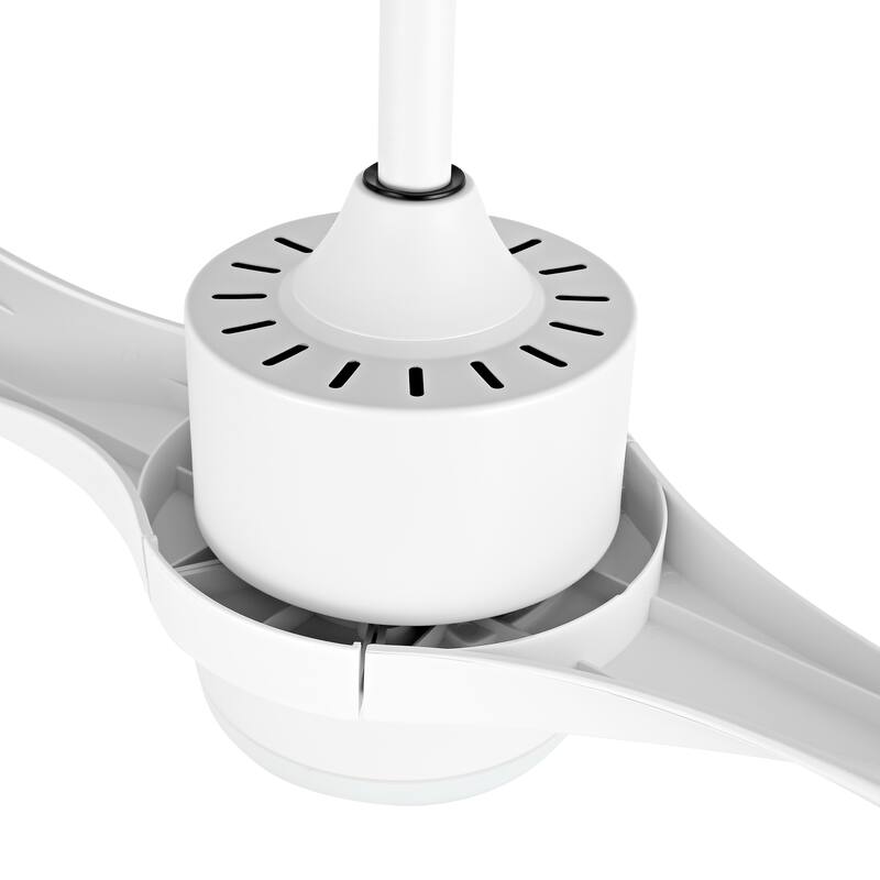WINGBO 52 inch 2 Blades Modern Ceiling Fan with Lights and Remote - N/A