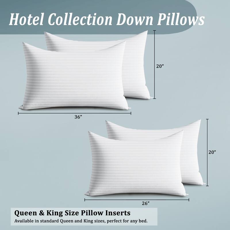 CraftPorch Elegence 2 Pieces Pillow