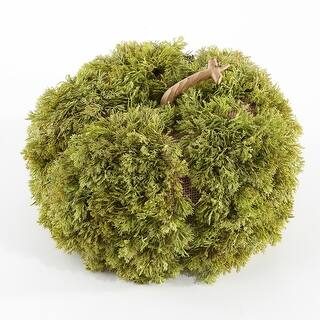 SAFAVIEH Faux 10 Inch Moss Pumpkin - 10" W x 10" D x 6" H