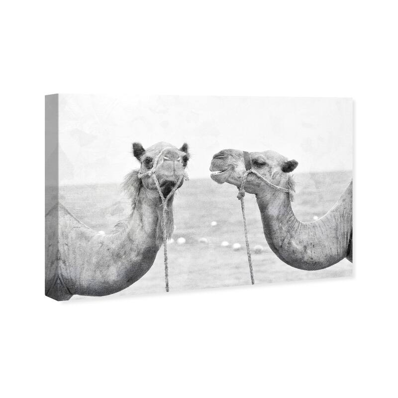 Wynwood Studio Canvas Animals Camel Best Friends Black and Moroccan Wall Art Canvas Print