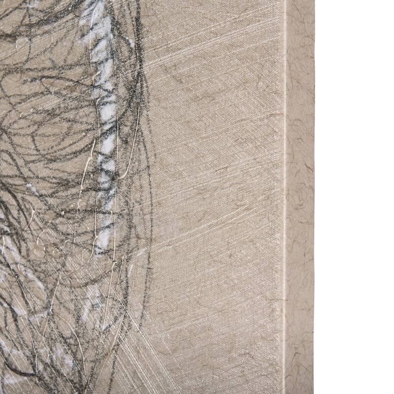 Sketch of Animal I (Wild Sheep) (40 x 30) Canvas Art Print