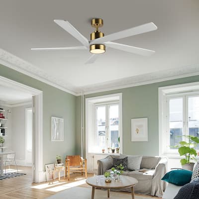 WINGBO 64 Inch DC Ceiling Fan with Lights and Remote Control, 5 Reversible Carved Wood Blades - N/A