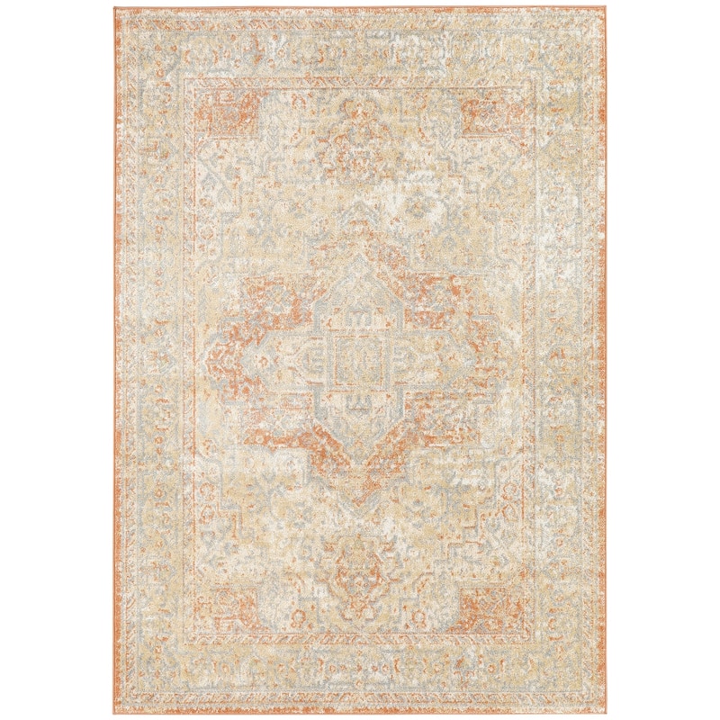 Nourison Essentials Persian Indoor/Outdoor Area Rug