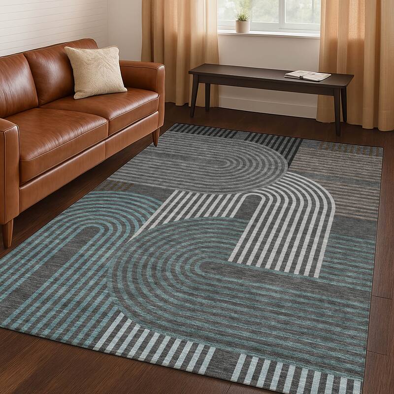 Machine Washable Indoor/ Outdoor Modern Basehor Chantille Rug
