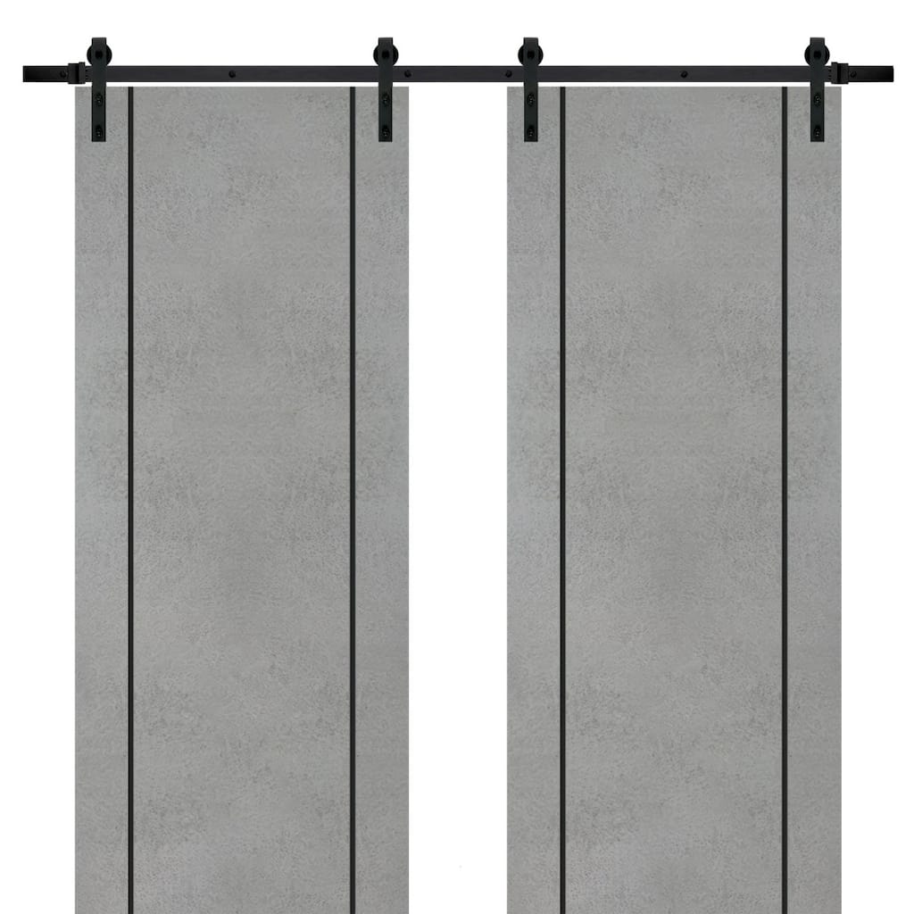 Sturdy Double Barn Door 36 x 80 with Planum 0016 Concrete with 13FT