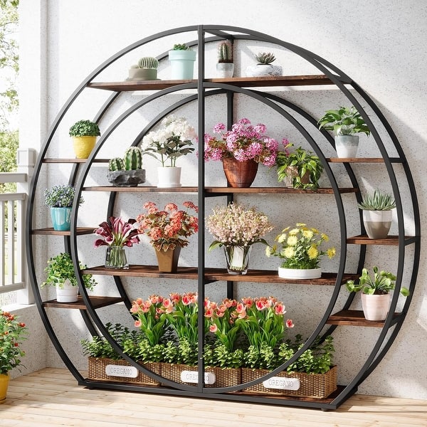 succulent plants indoors Assorted Succulent 4"