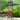 72 in. Iron Craftsman Obelisk with Planter Trellis