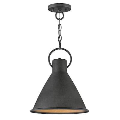 Hinkley Lighting Winnie 12" Wide Pendant