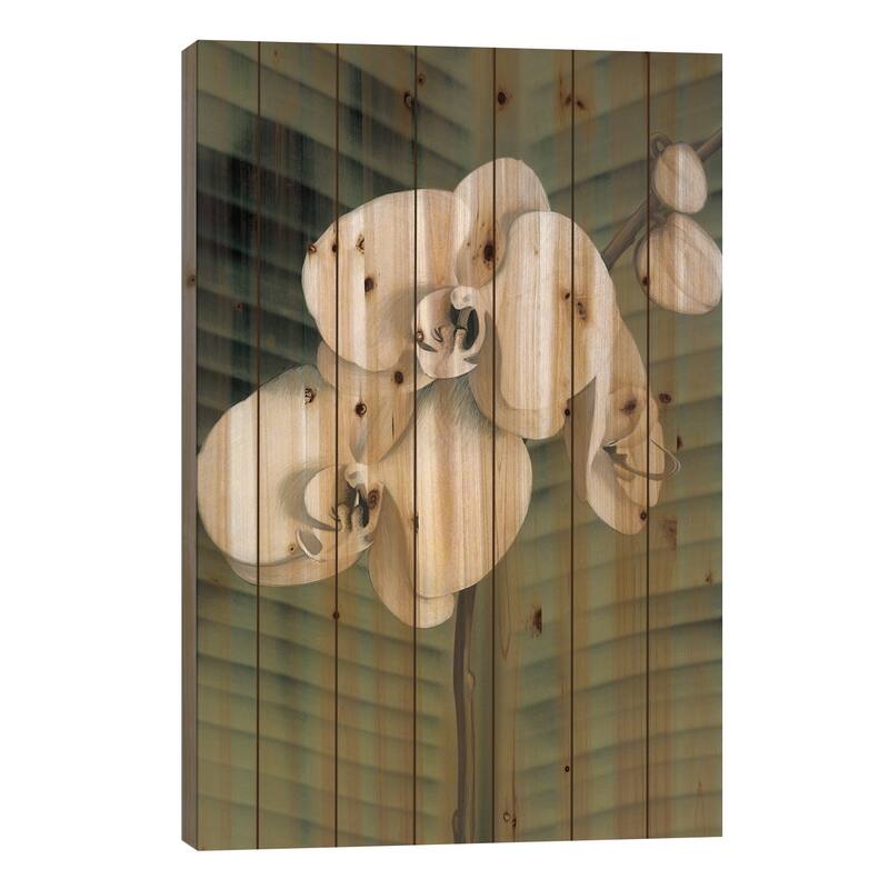 Orchid With Palm II Print On Wood by Andrea Trivelli - Multi-Color - 40x26x1.5