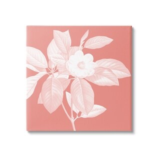 Stupell Pink & White Floral Canvas Wall Art Design by Andrea Haase ...