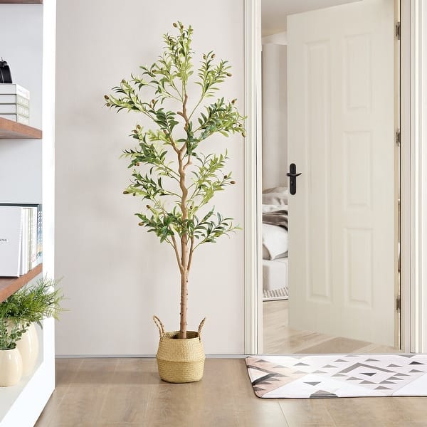 golden heart dracaena Dracaena Golden Heart | Indoor Air-Purifying Plant main image 1