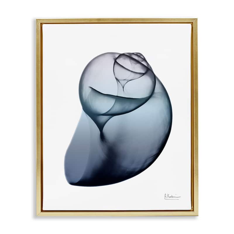 Stupell Contemporary Snail Shell Framed Floater Canvas Wall Art Design by Albert Koetsier