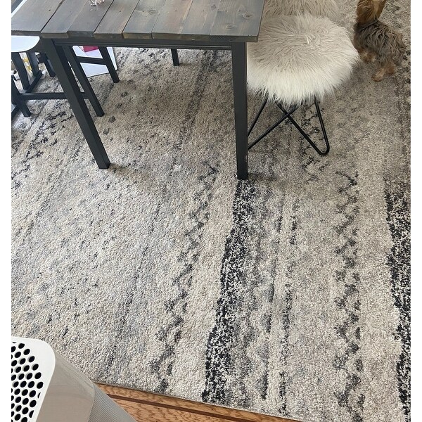 Top Product Reviews For Safavieh Retro Leonide Distressed Modern