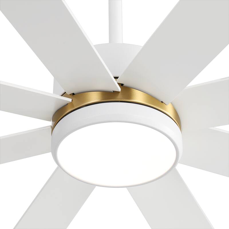 65 Inch 8-Blade Black LED Ceiling Fan with Light and Remote