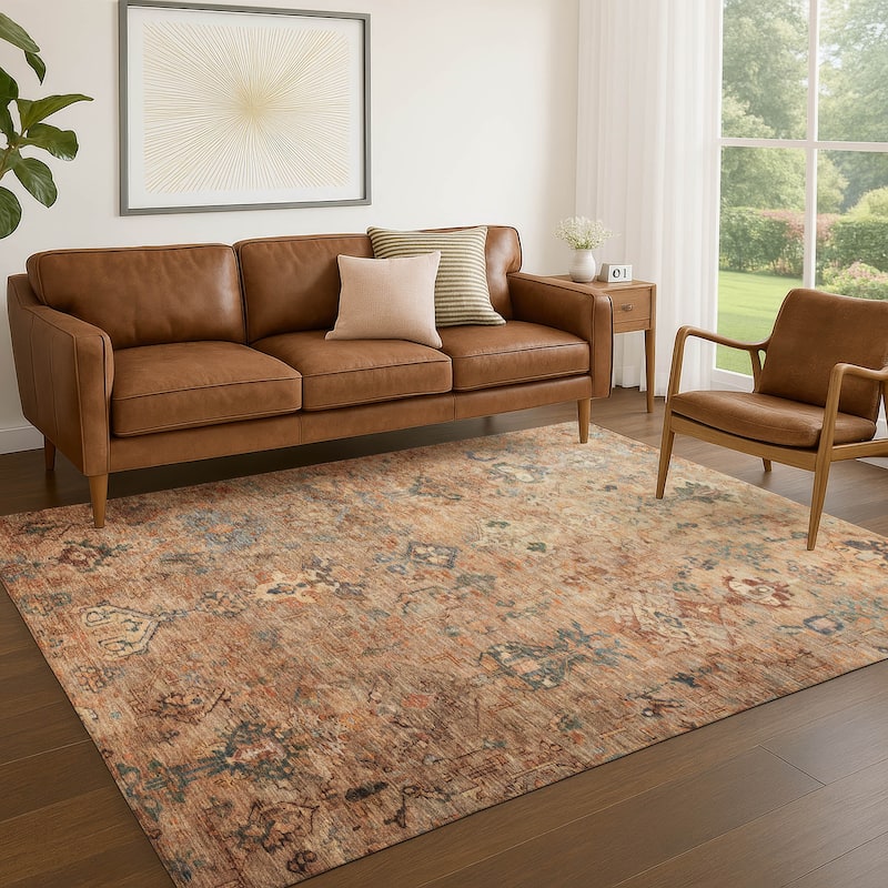 Machine Washable Indoor/ Outdoor Traditional Serenity Chantille Rug