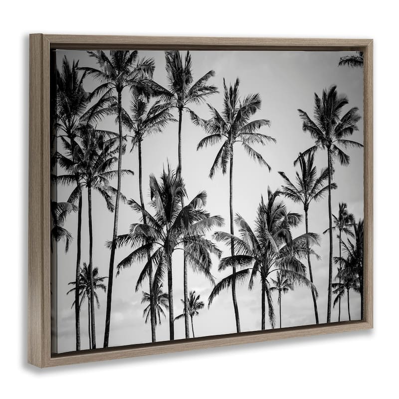 Stupell Palm Trees Skyline Black and White Photography Floater Frame