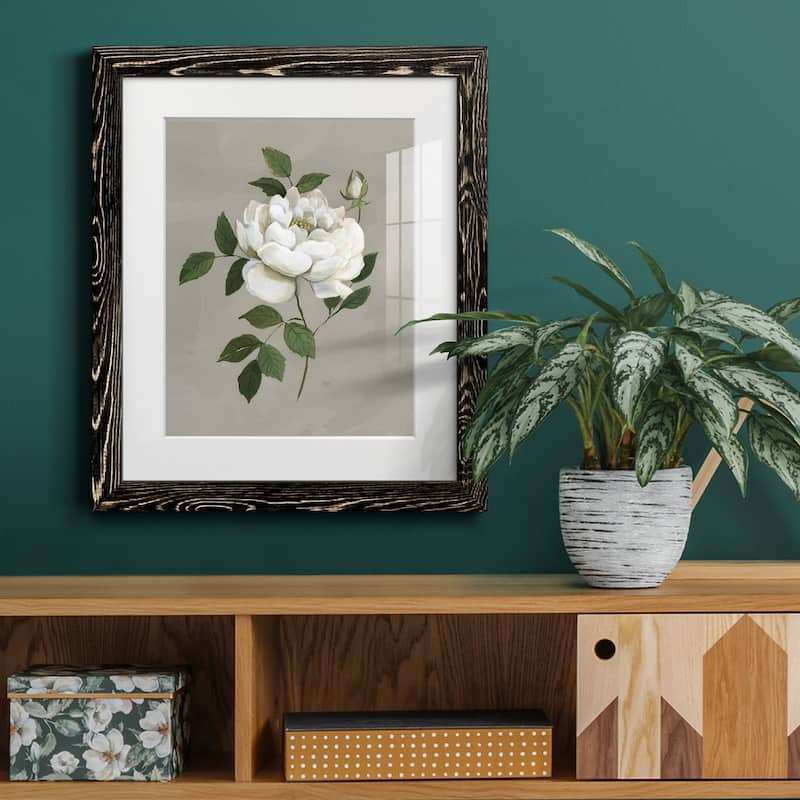 Botanical Rose-Premium Framed Print - Ready to Hang