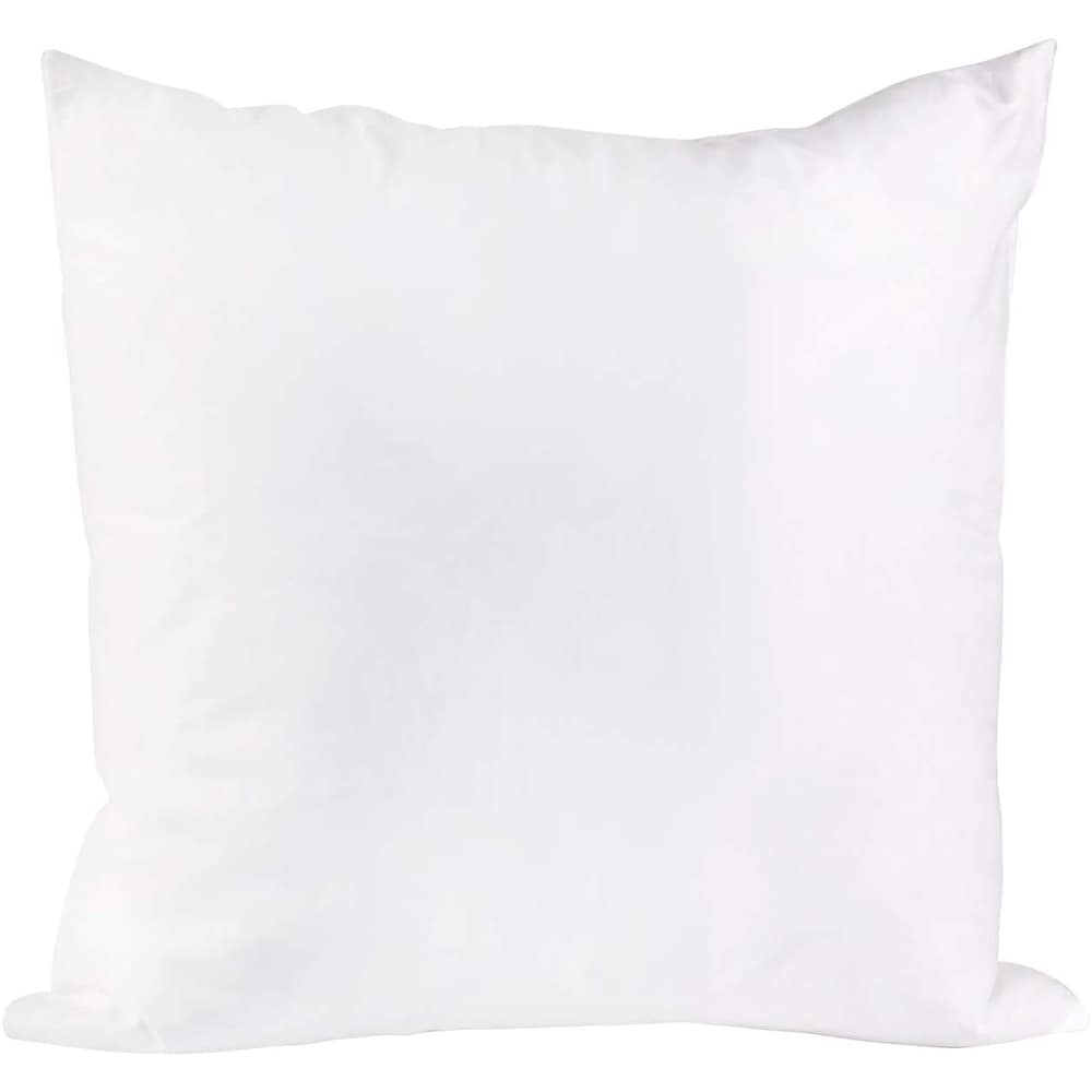 https://ak1.ostkcdn.com/images/products/is/images/direct/34643ce1b5e9129cdeb6b307b3c12fc151136212/Goose-Feather-Replacement-Cushion-Insert.jpg