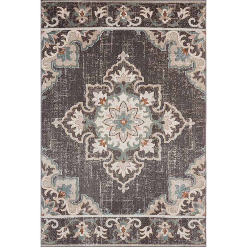 Sevita Rustic Transitional Medallion Area Rug