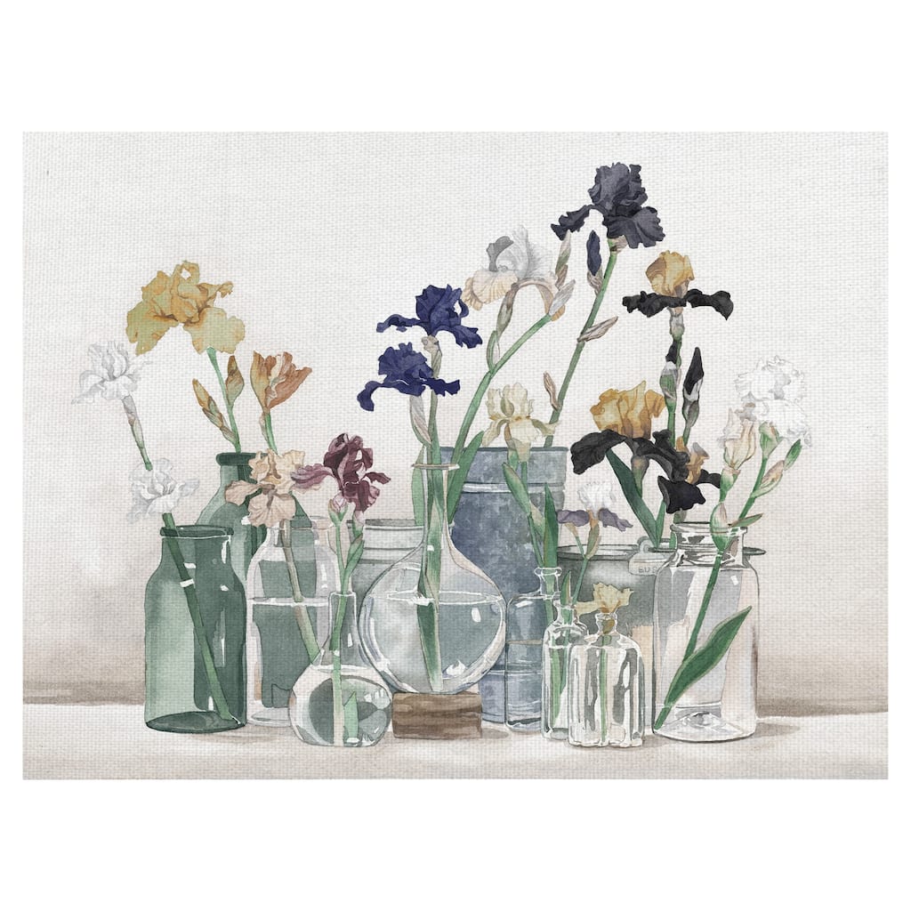 Irises in Vases Ivory by Suzanne Cruise Creative Services Canvas Art Print