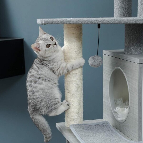 cat climbing toy