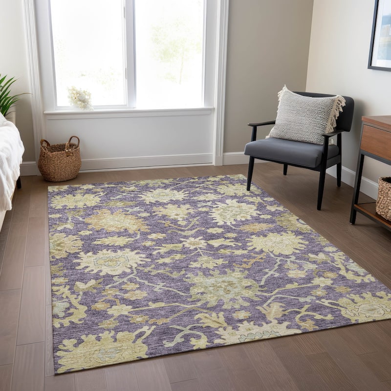 Machine Washable Indoor/ Outdoor Traditional Casual Chantille Rug